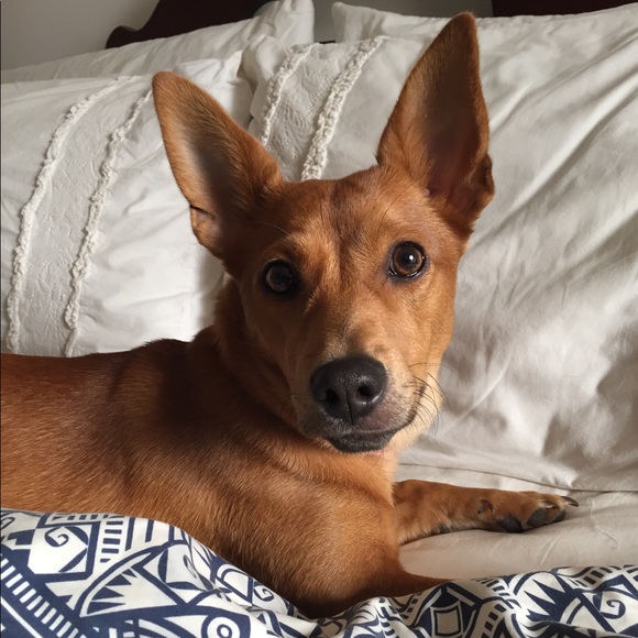 Meet your Posher, Galit - Picture 2 of 4